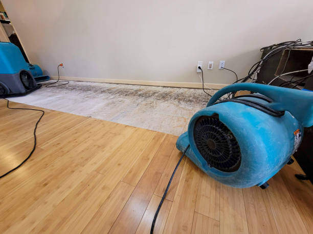 Reliable Basement Flood Cleanup contractor in Sumrall, MS by Hirex Water Damage