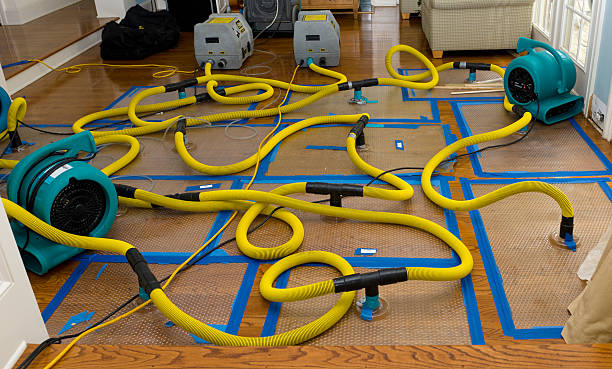 Professional Basement Flood Cleanup technician working in Sumrall, MS